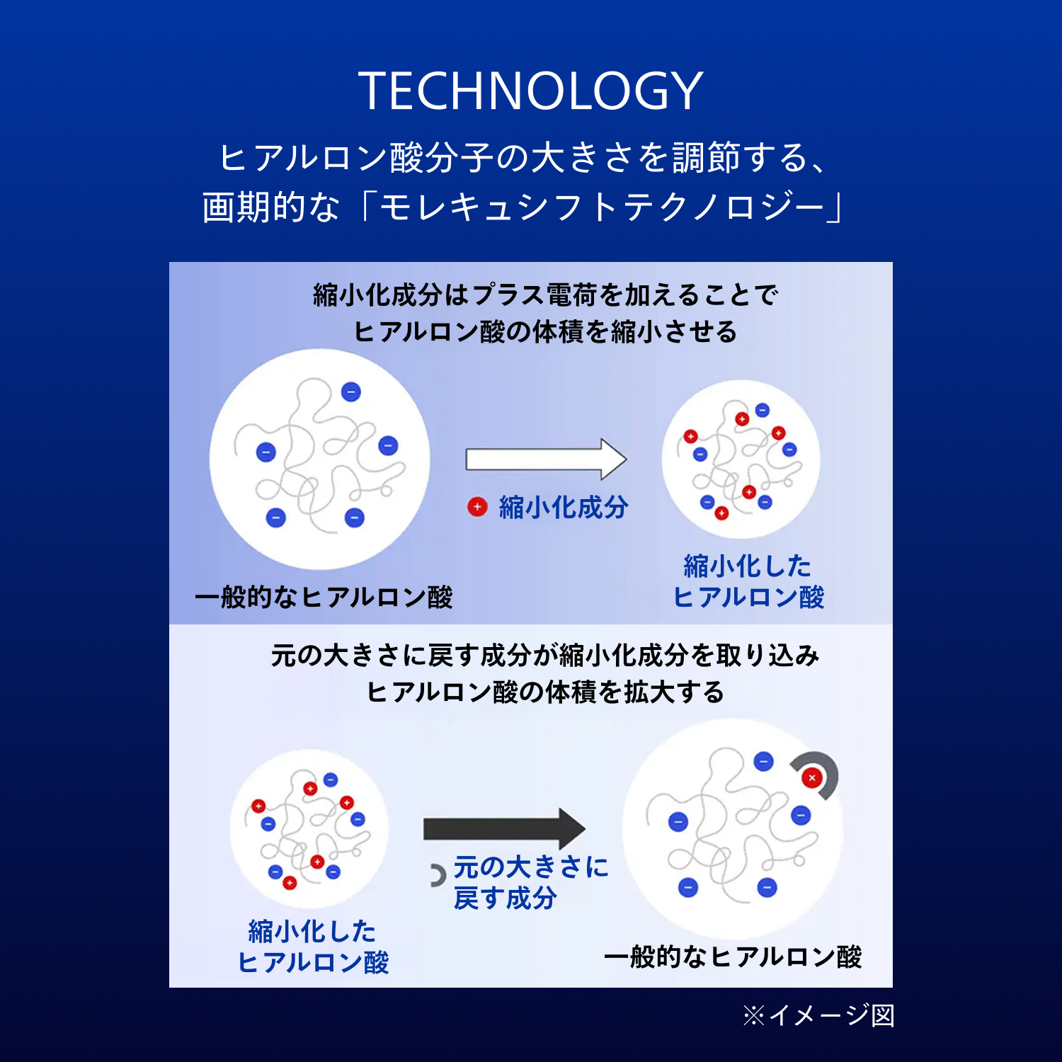 ビオパフォーマンス　スキンフィラー image number 6